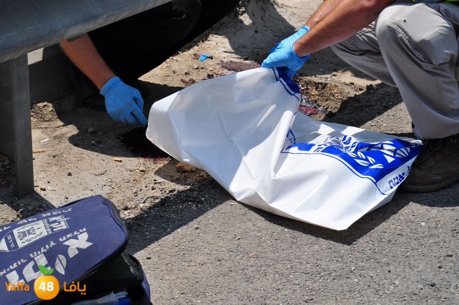 dead acc 50 years lud (11).JPG